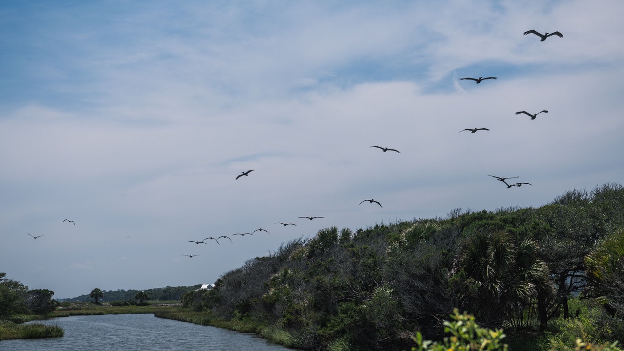 Photo of Outdoor in Jeremy Cay