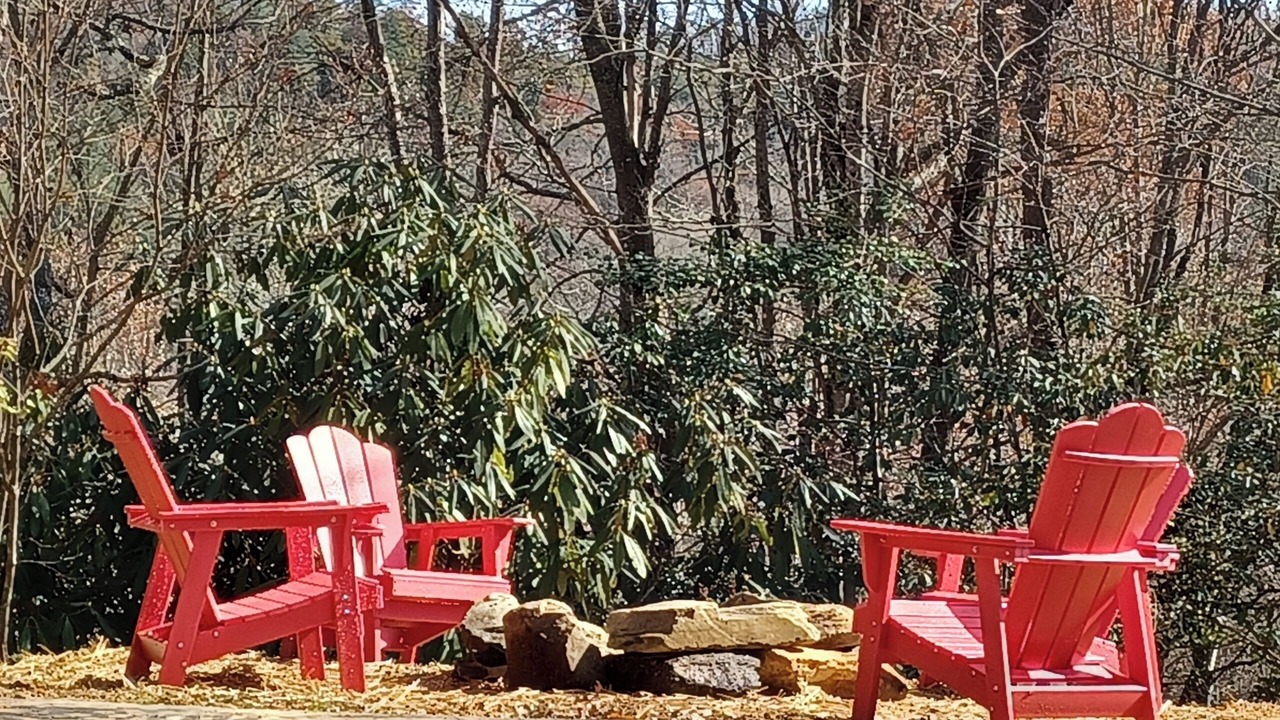 Photo of Others in Pisgah Forest