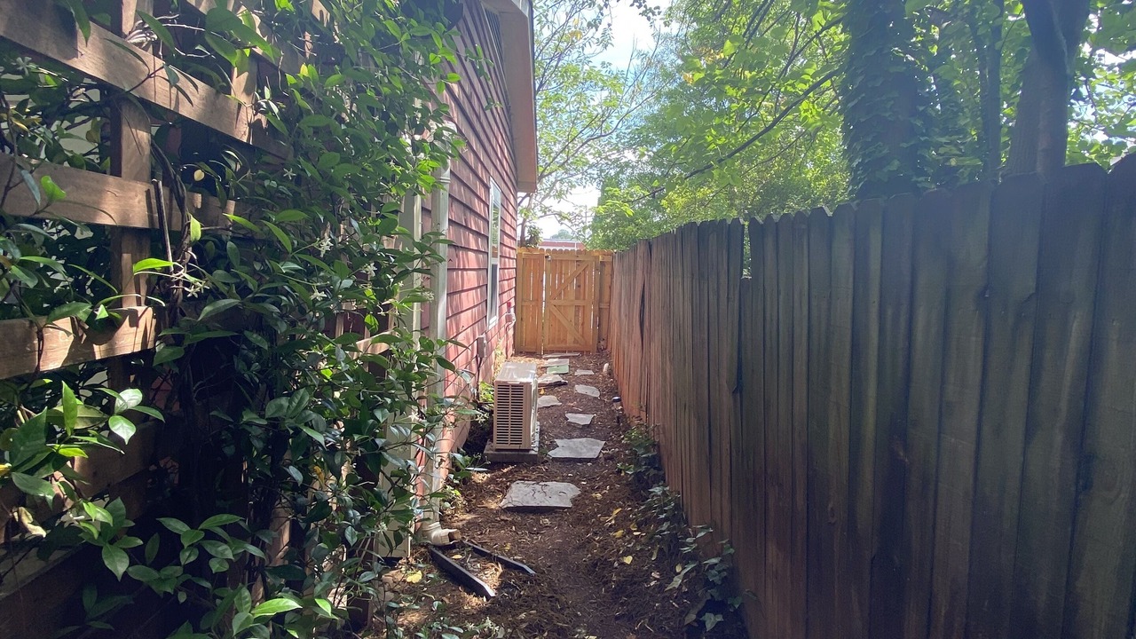 Photo of Outdoor in Plaza Midwood