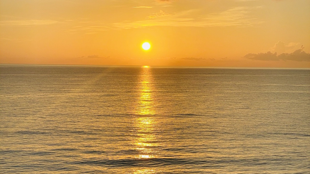 Photo of Others in Hutchinson Island South