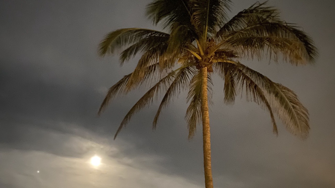 Photo of Others in Hutchinson Island South