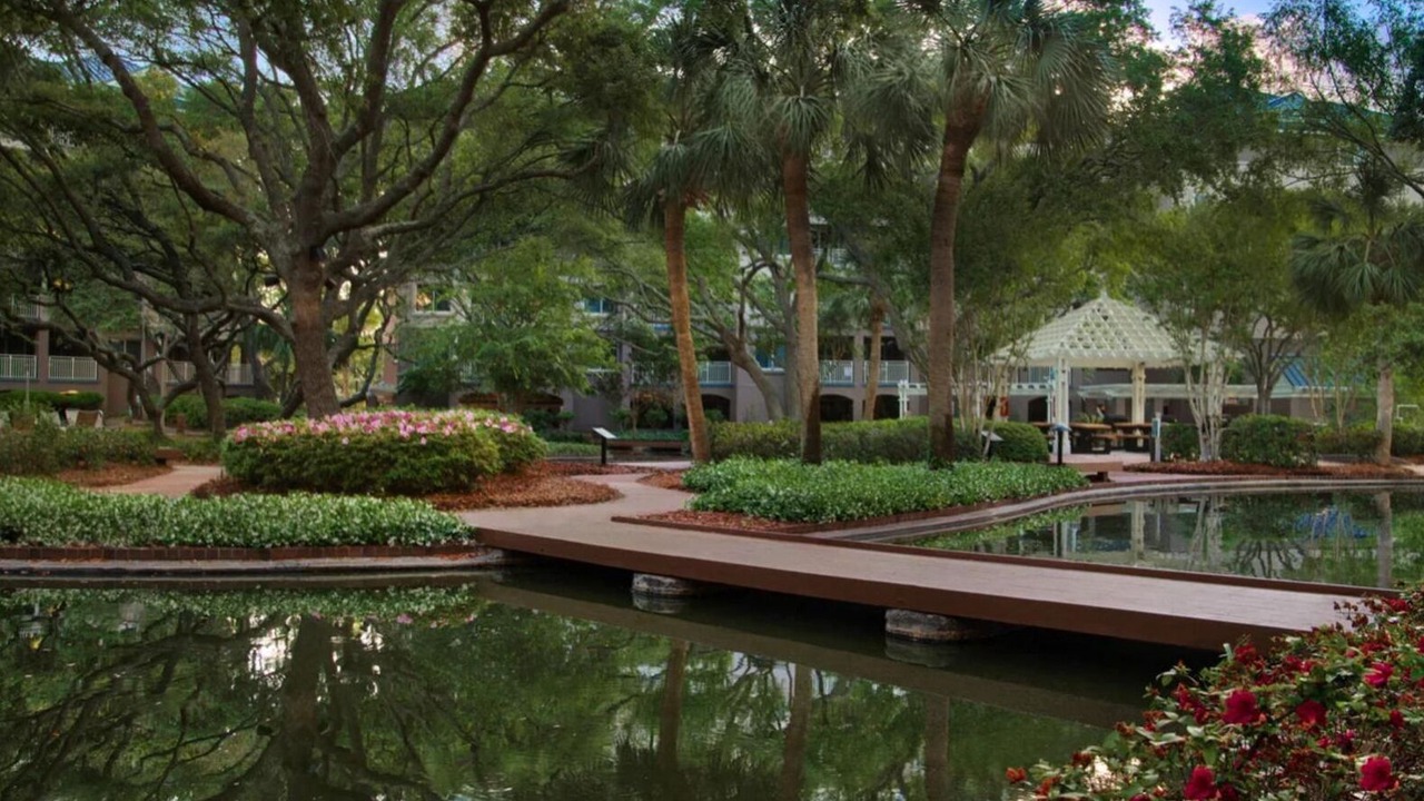 Photo of Outdoor in Hilton Head Island