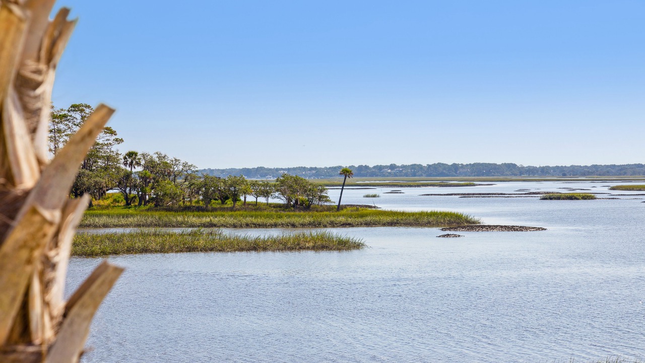 Photo of Outdoor in Johns Island