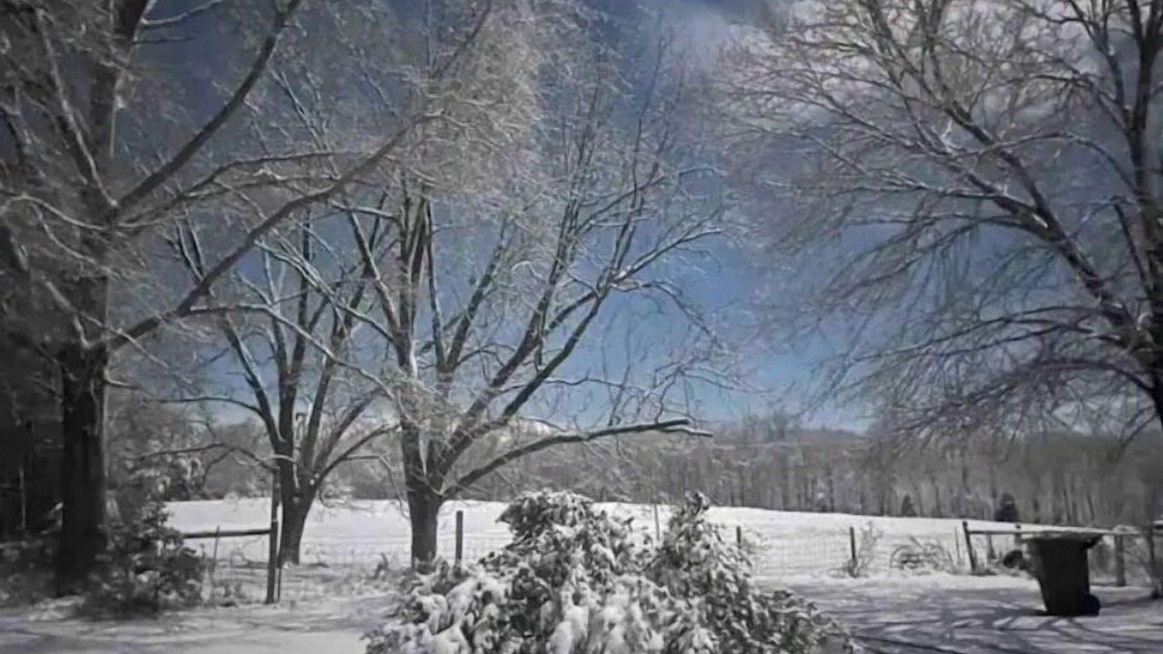 Photo of Others in Walhalla