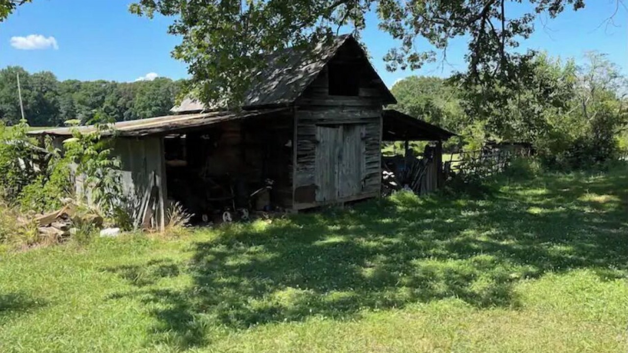 Photo of Others in Walhalla