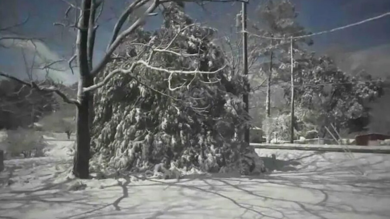 Photo of Others in Walhalla