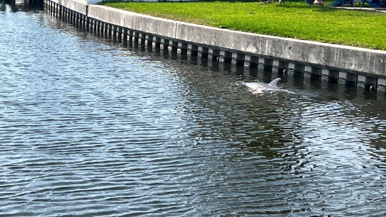 Photo of Others in Riviera Bay