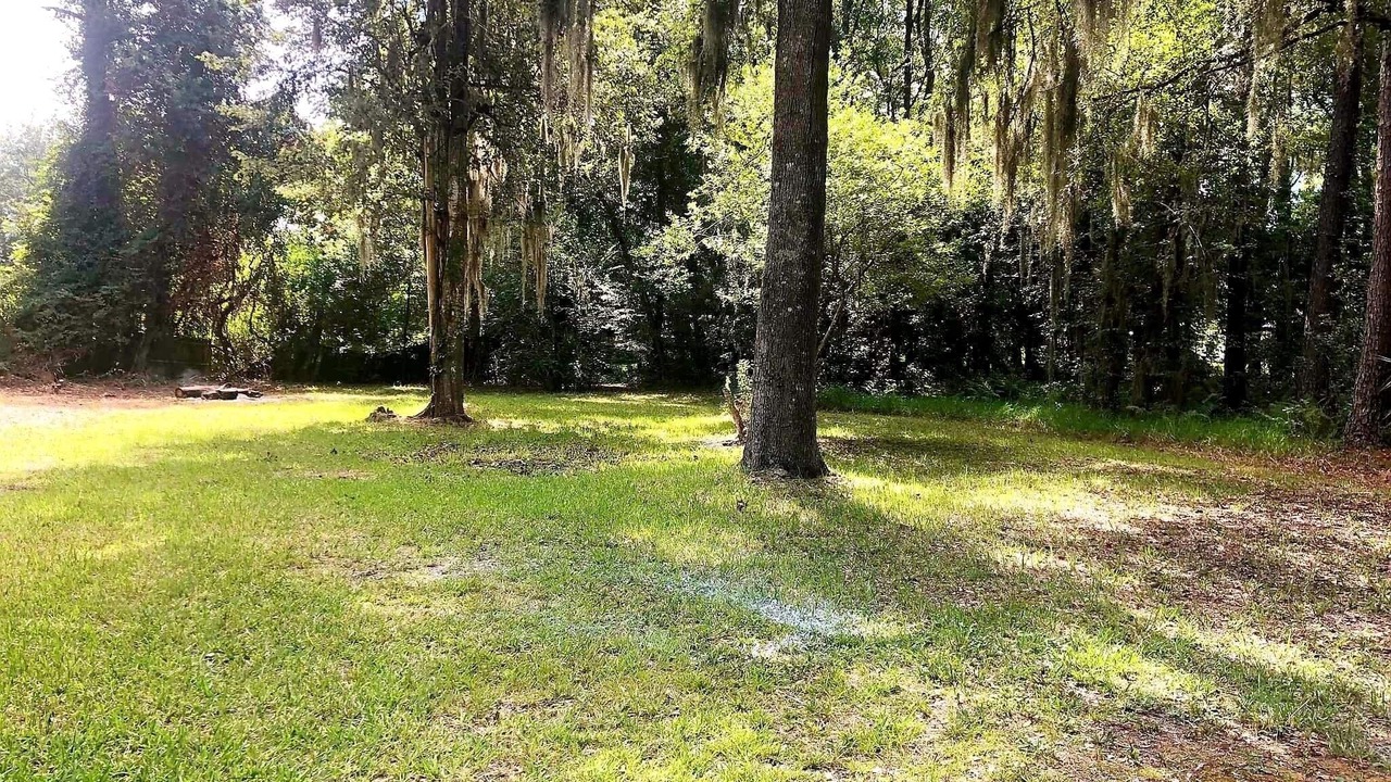 Photo of Outdoor in Jacksonville