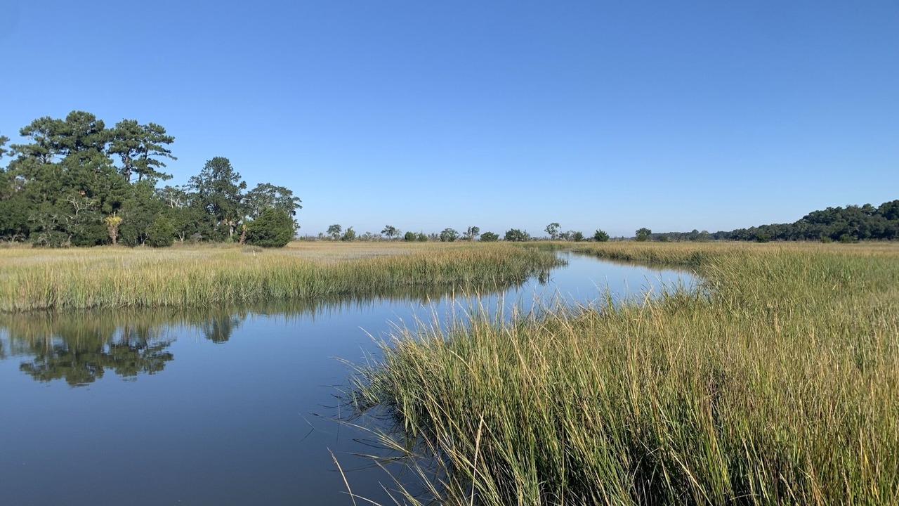 Photo of Others in Edisto Island