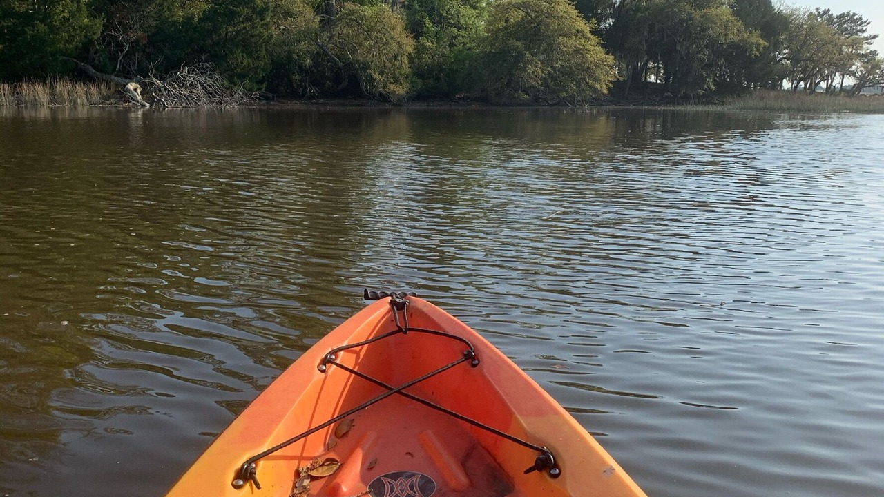 Photo of Others in Edisto Island