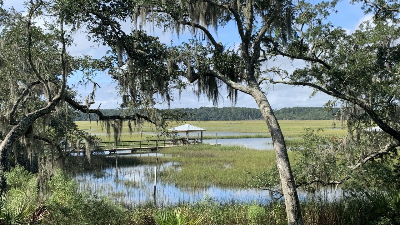Photo of Outdoor in Edisto Island