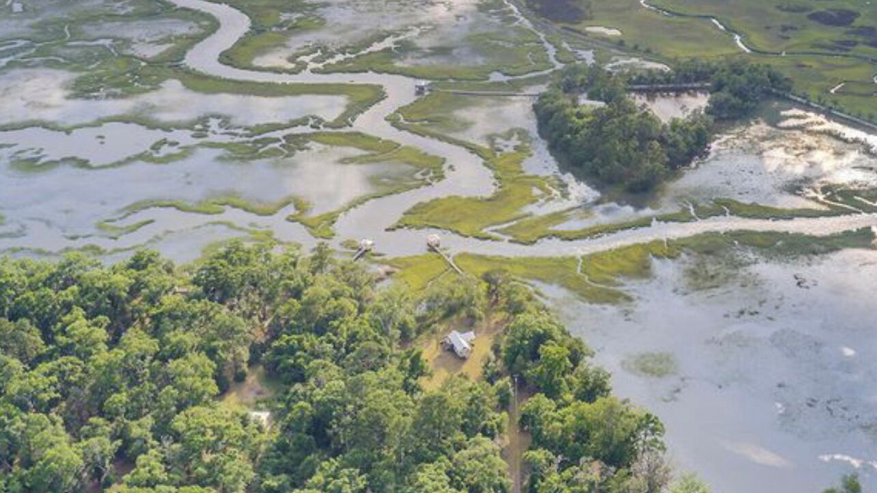Photo of Outdoor in Edisto Island