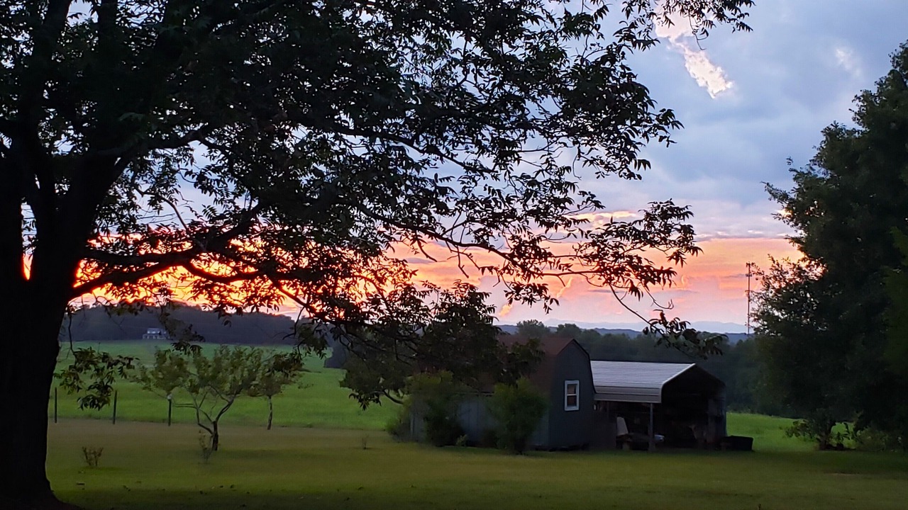 Photo of Outdoor in Anderson