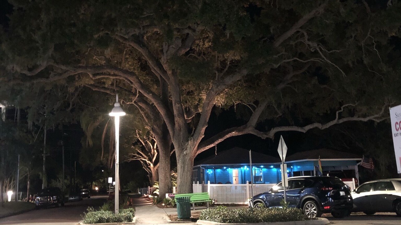 Photo of Outdoor in Gulfport