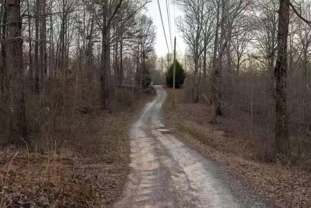 Photo of Others in Gainesville