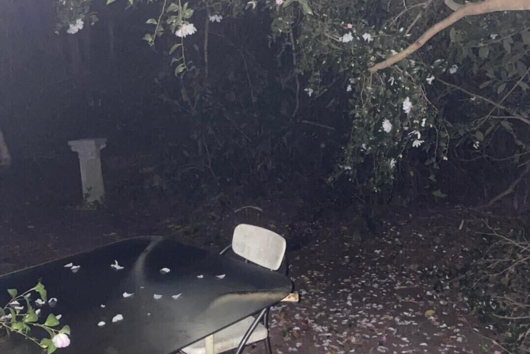 Photo of Outdoor in Allenhurst