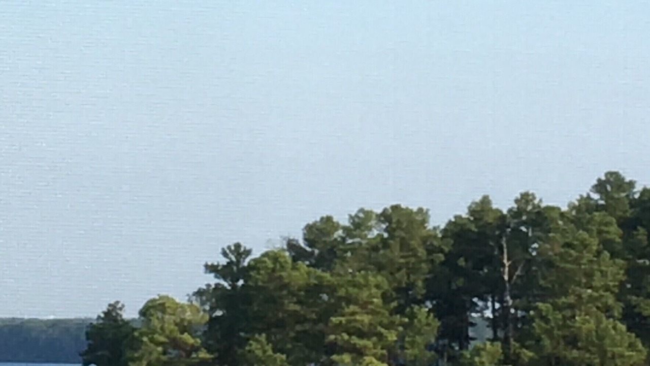 Photo of Others in Modoc Shores