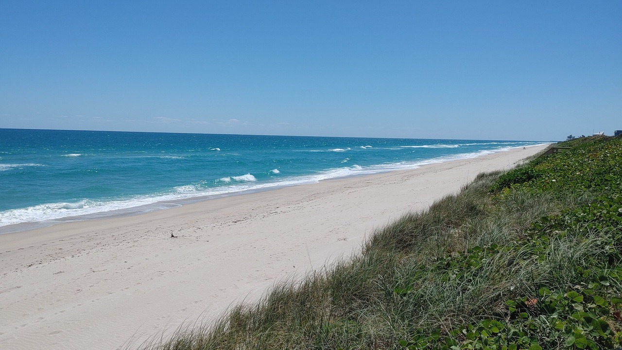 Photo of Others in Melbourne Beach