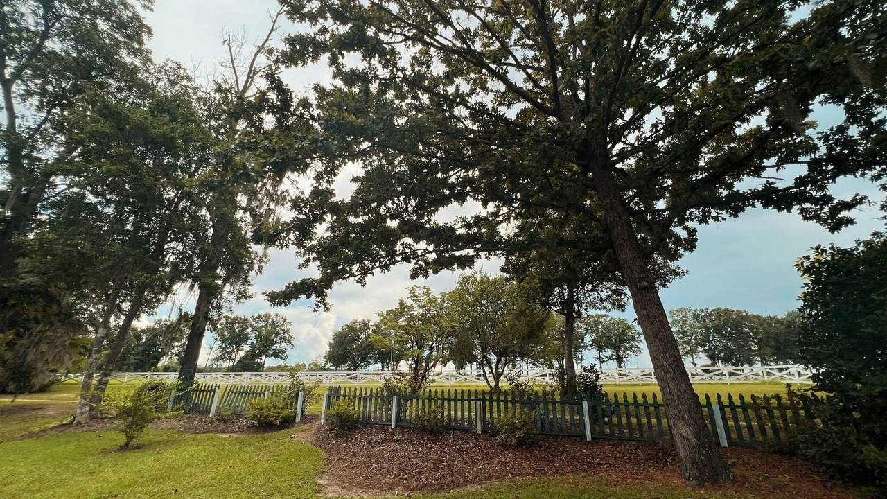 Photo of Outdoor in Manning