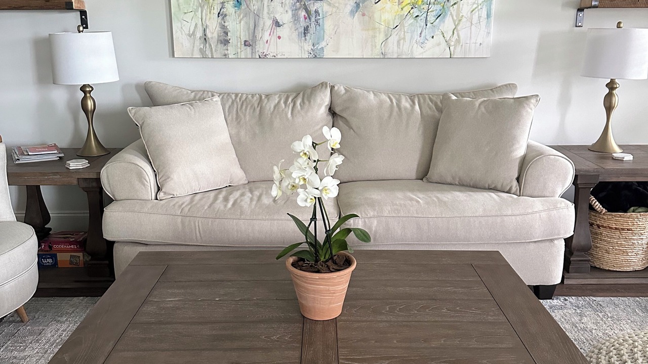 Photo of Livingroom in North Augusta