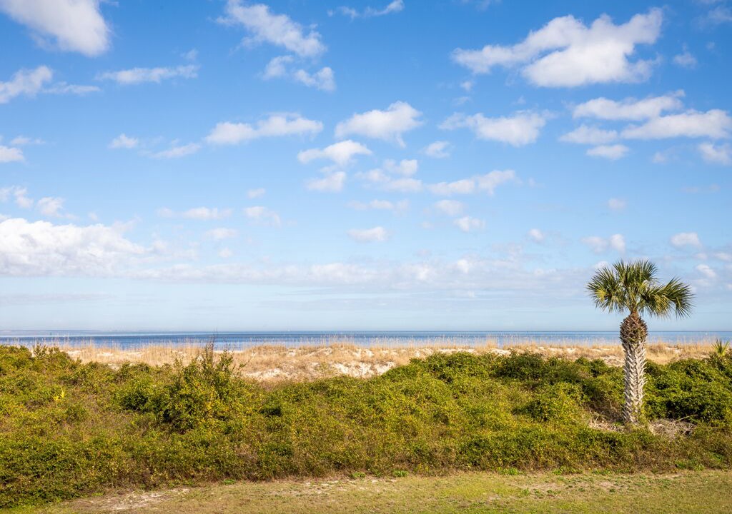 Photo of Others in Tybee Island