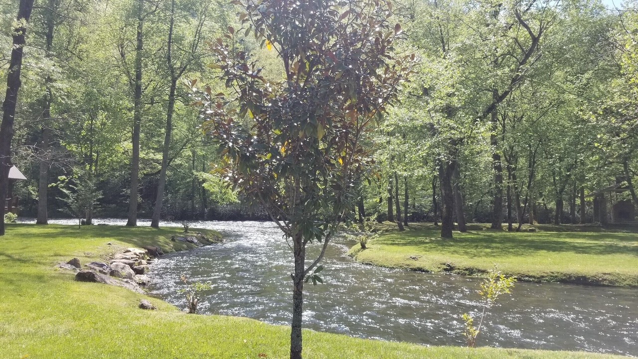 Photo of Others in Nantahala