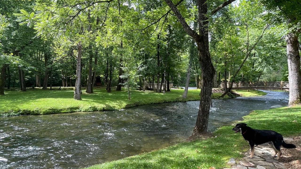 Photo of Others in Nantahala
