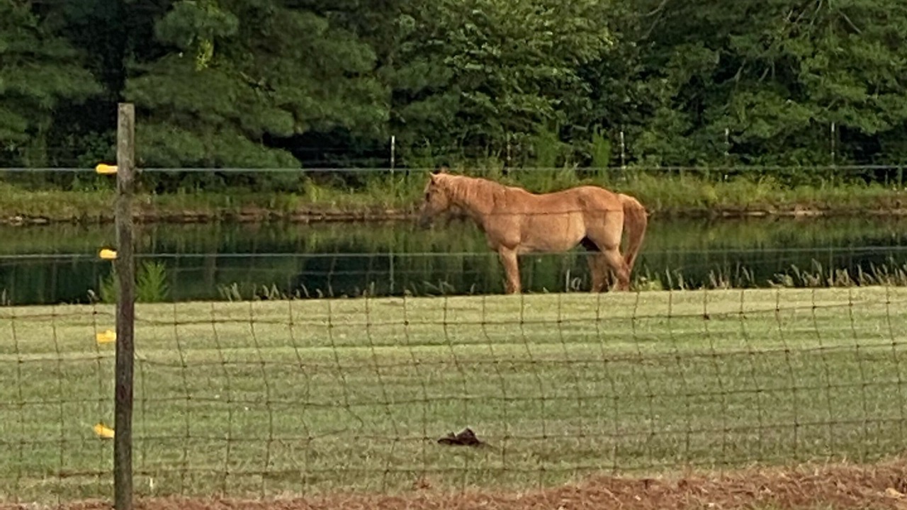 Photo of Outdoor in Kipling