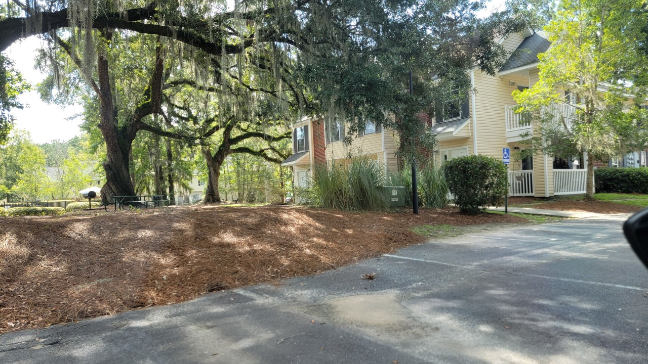 Photo of Outdoor in Charleston