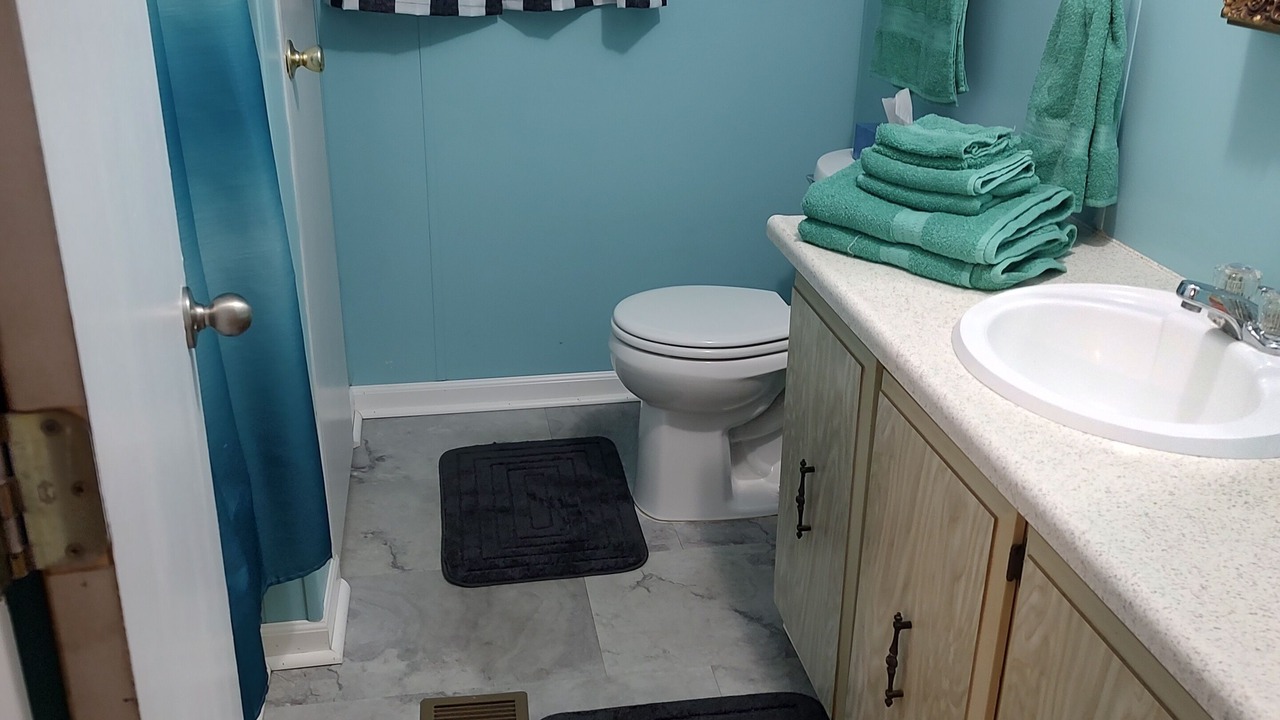 Photo of Bathroom in Zephyrhills West