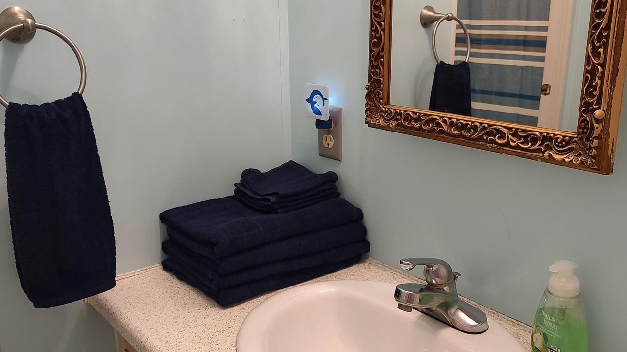 Photo of Bathroom in Zephyrhills West