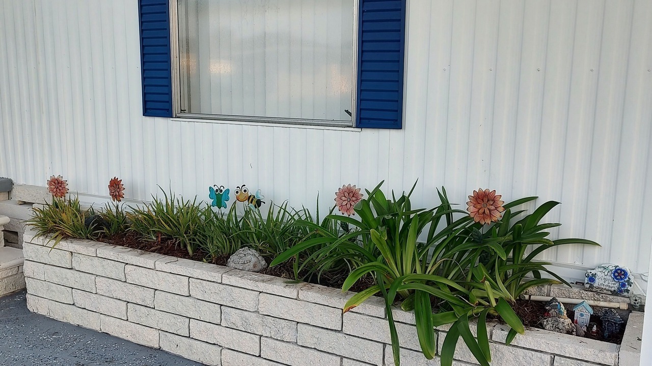 Photo of Outdoor in Zephyrhills West