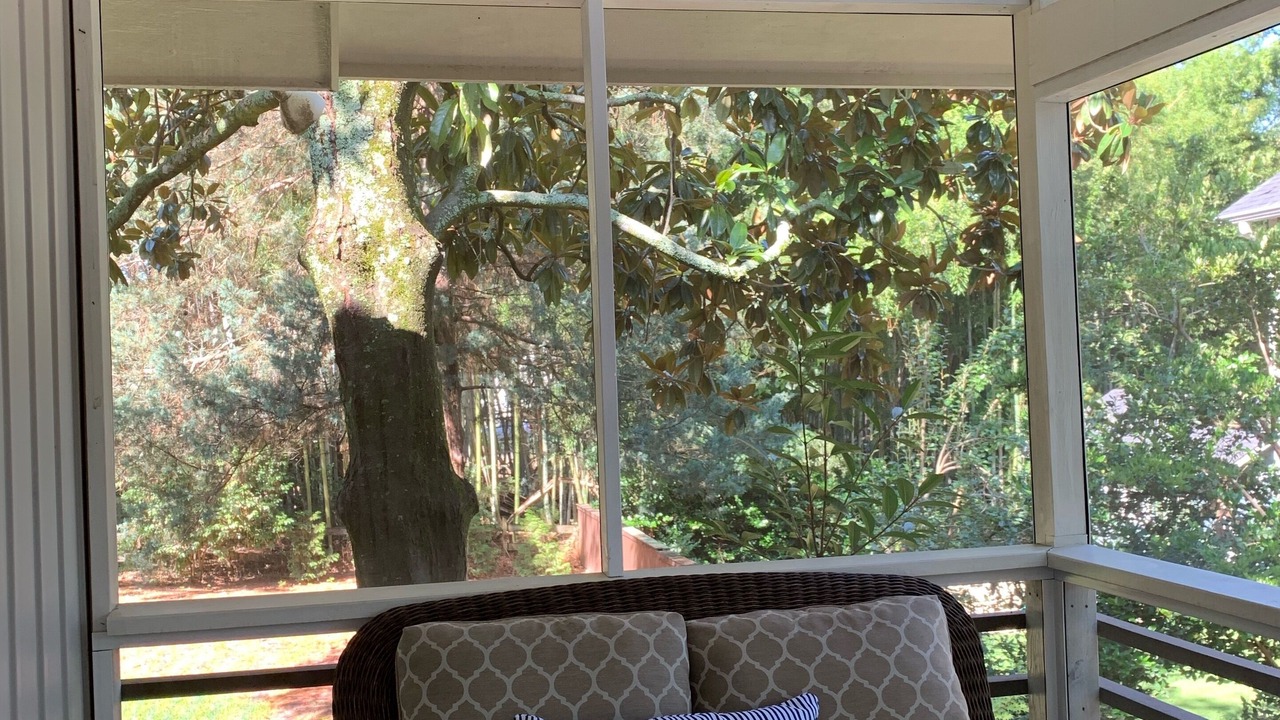 Photo of Outdoor in Southern Pines