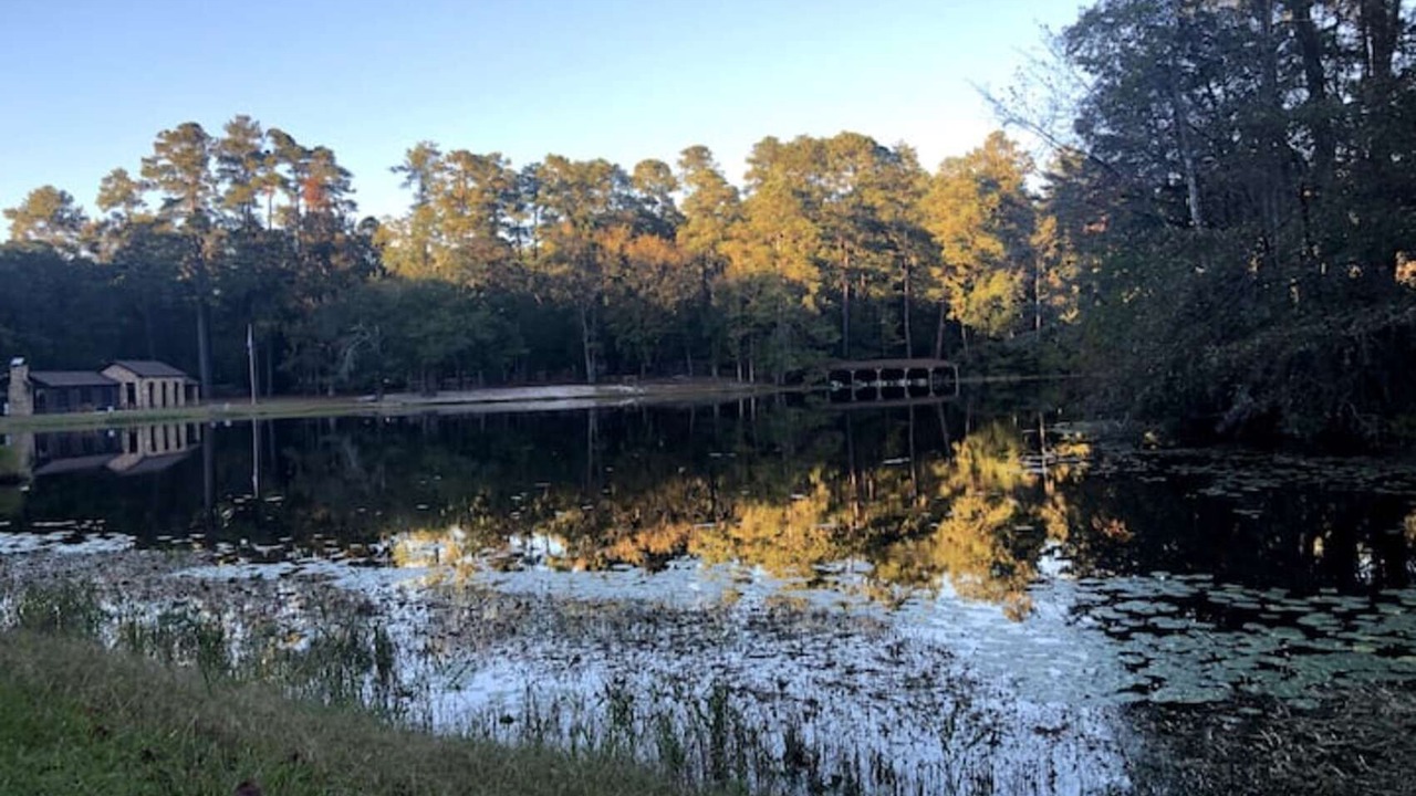 Photo of Outdoor in Sumter County