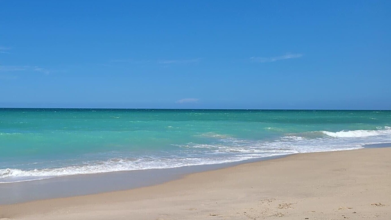 Photo of Others in Melbourne Beach