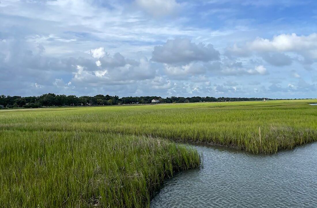 Photo of Others in Charleston