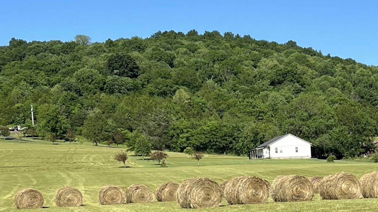 Photo of Others in Chestnut Mound