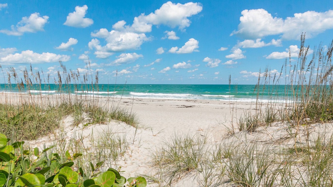 Photo of Others in Palm Bay