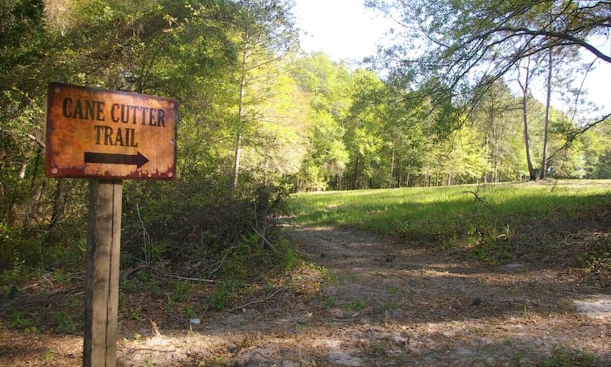 Photo of Others in Claxton