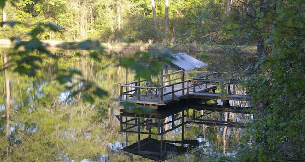 Photo of Outdoor in Claxton