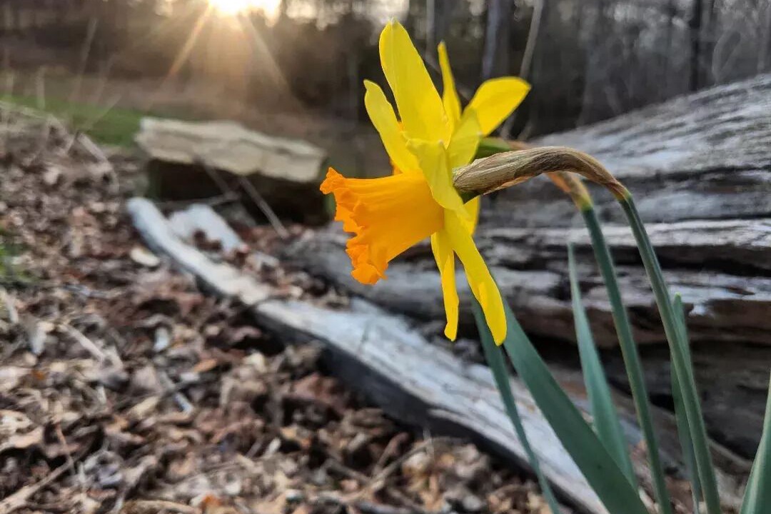 Photo of Outdoor in Marietta