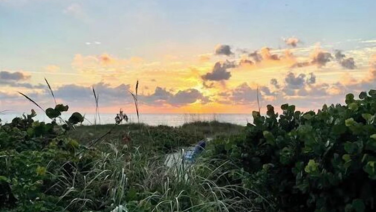 Photo of Others in The Dunes