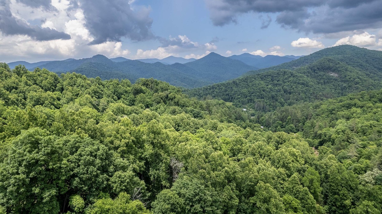 Photo of Others in Cullowhee