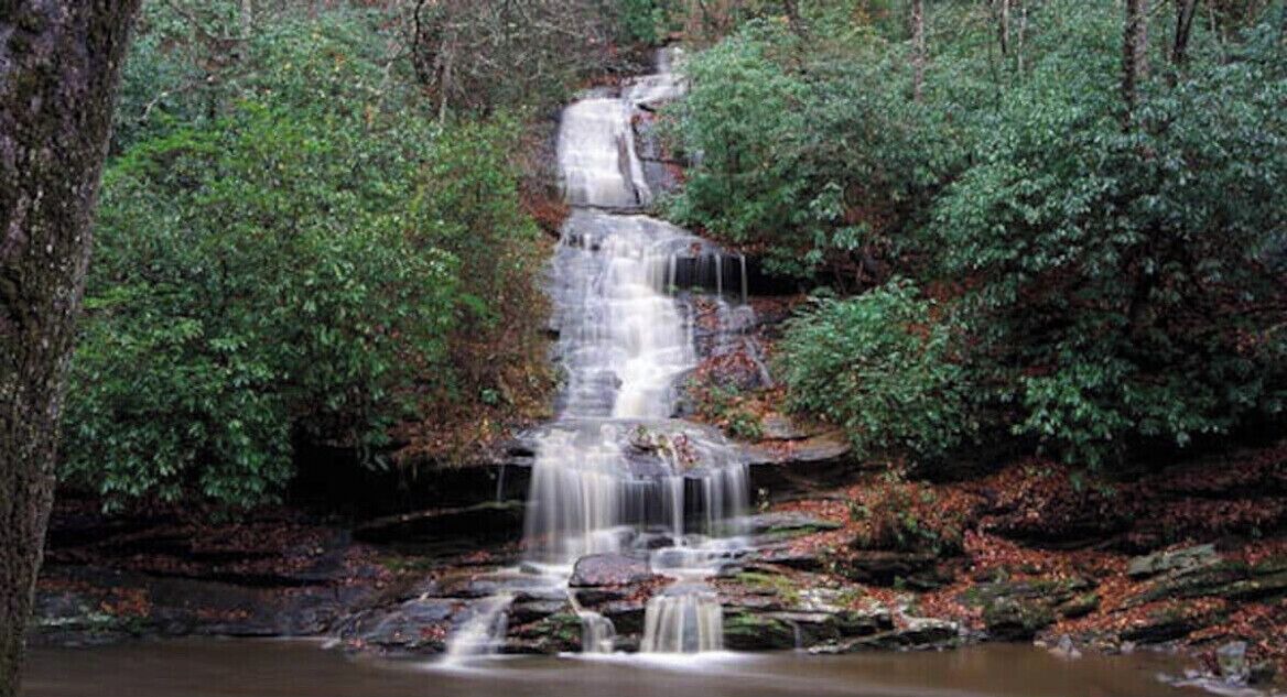 Photo of Others in Bryson City