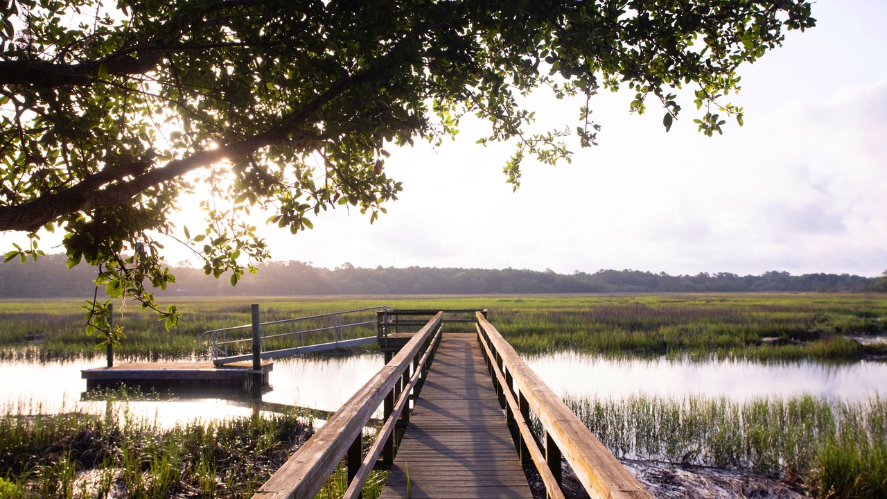 Photo of Others in Saint Helena Island