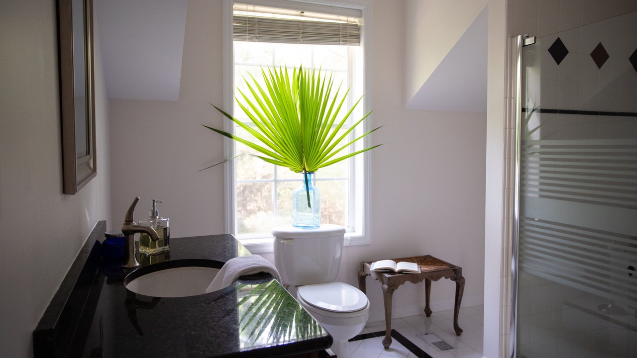 Photo of Bathroom in Saint Helena Island