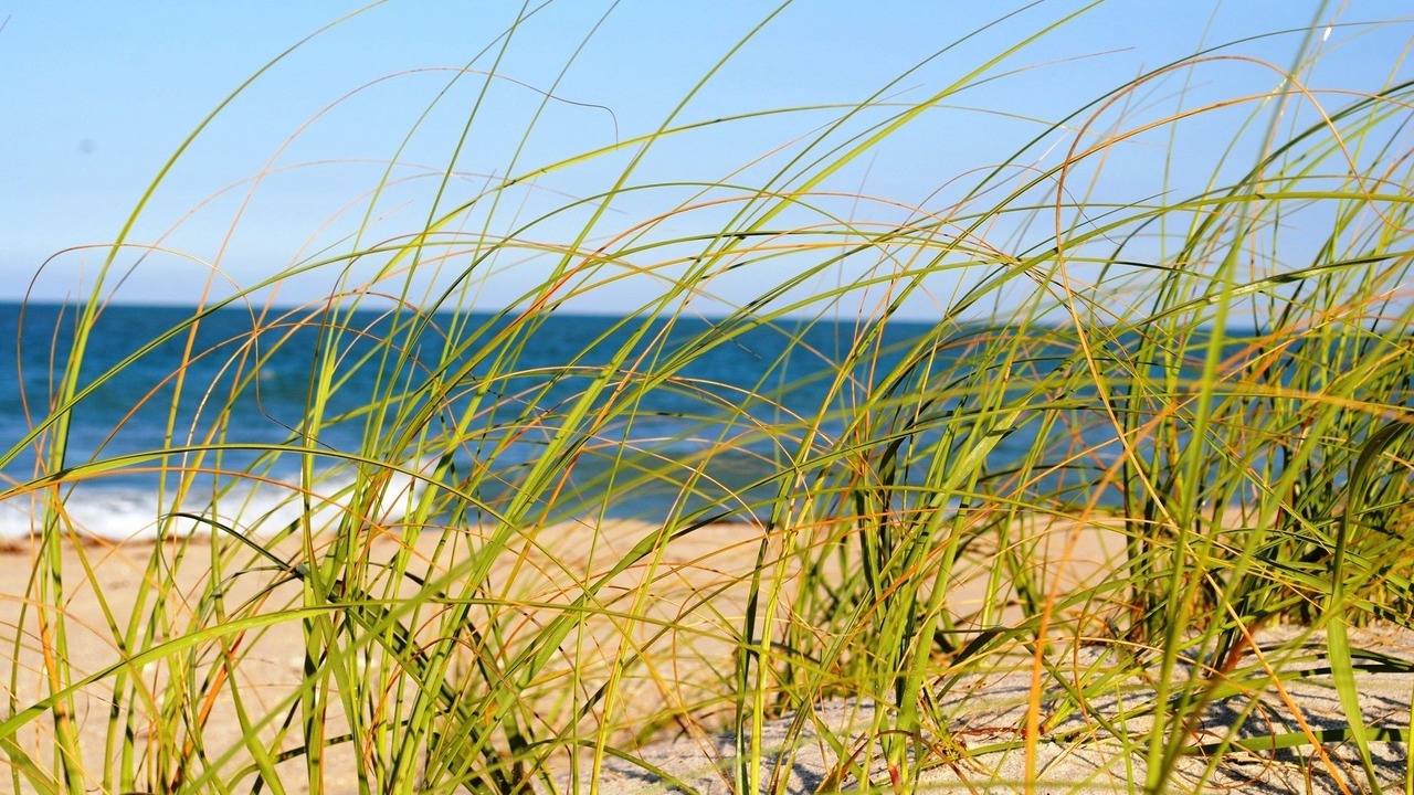Photo of Others in Vero Beach