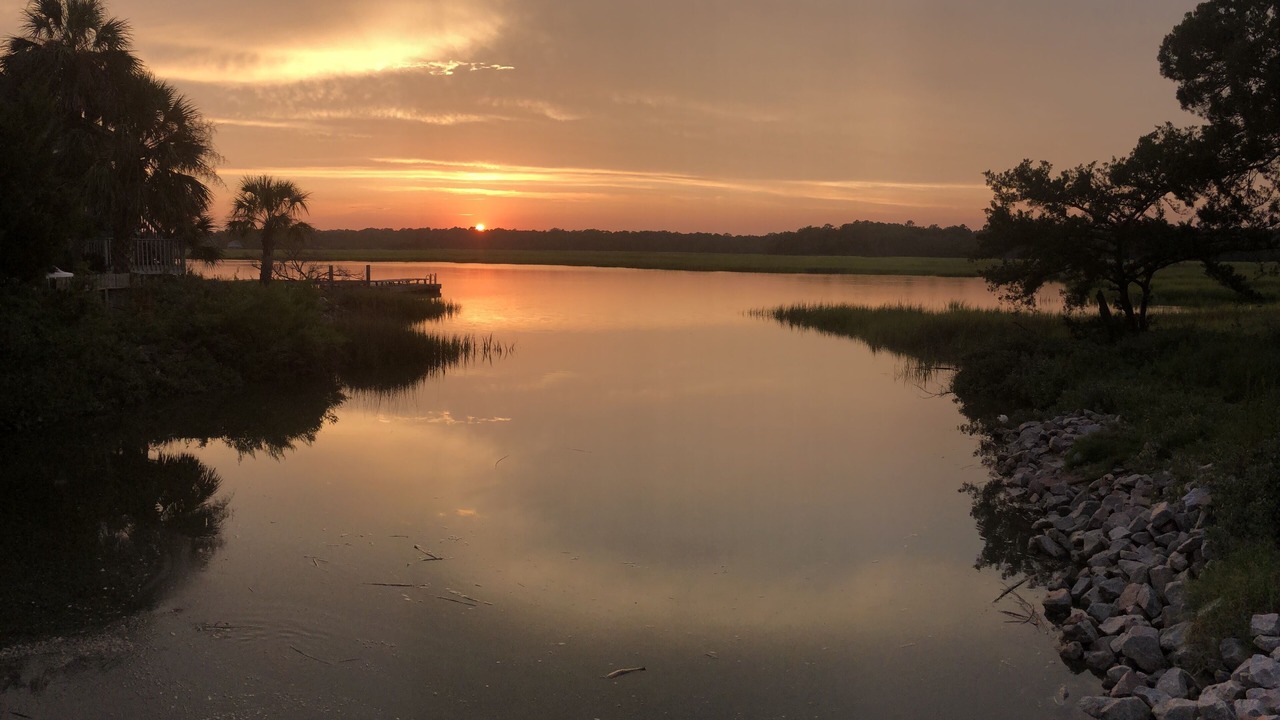 Photo of Outdoor in Edisto Island