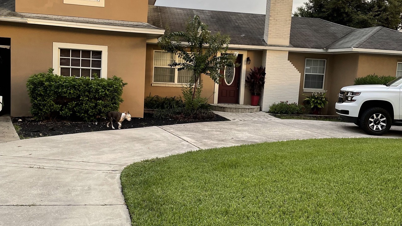 Photo of Outdoor in Winter Haven