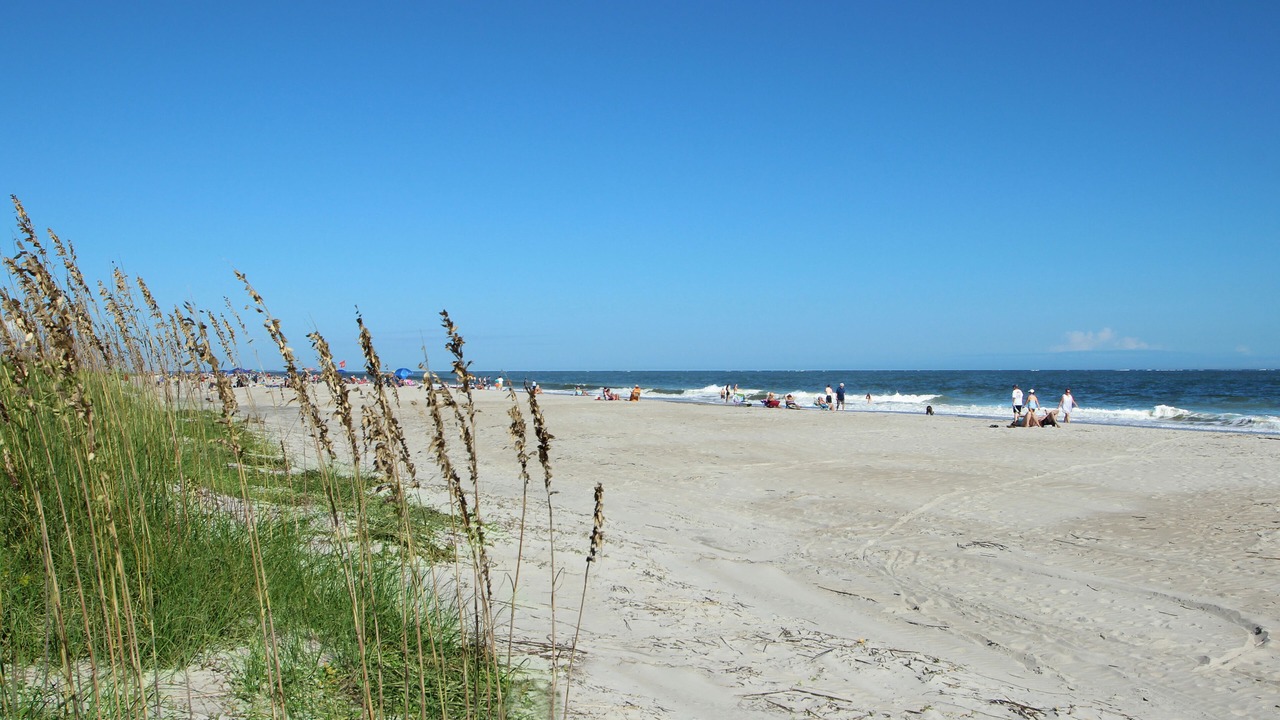 Photo of Others in Folly Field